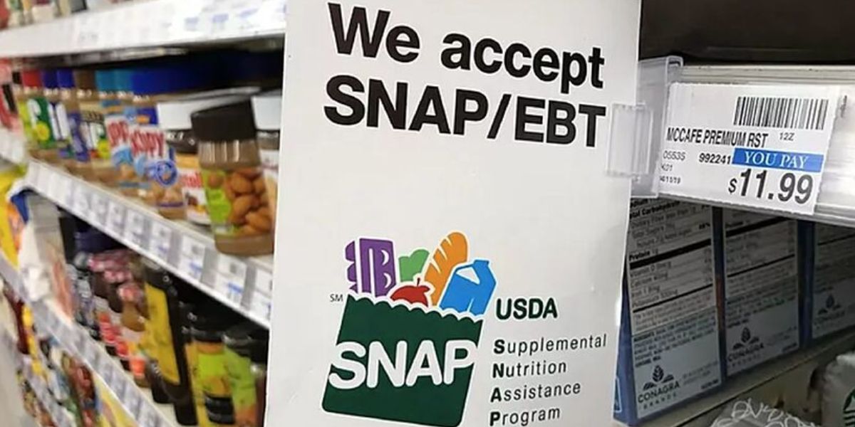 Who Gets SNAP in Texas This Week May 12–18 Payment Schedule Revealed