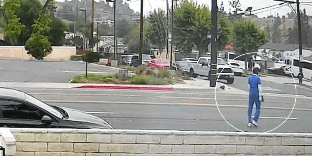 Young Nursing Student Dies in DUI-Related Crash in Southern California