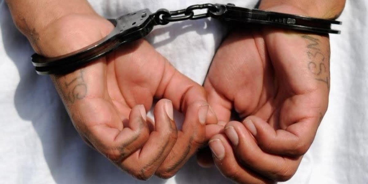12 arrested, $4k in stolen goods recovered in Harris County retail crime operation