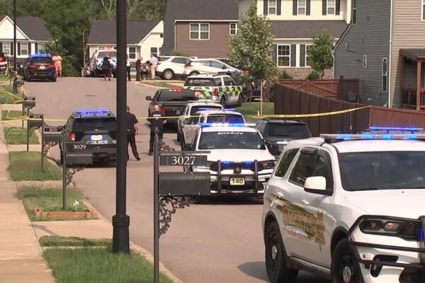 17-year-old accused of stabbing father after dog killed chickens in Cottontown