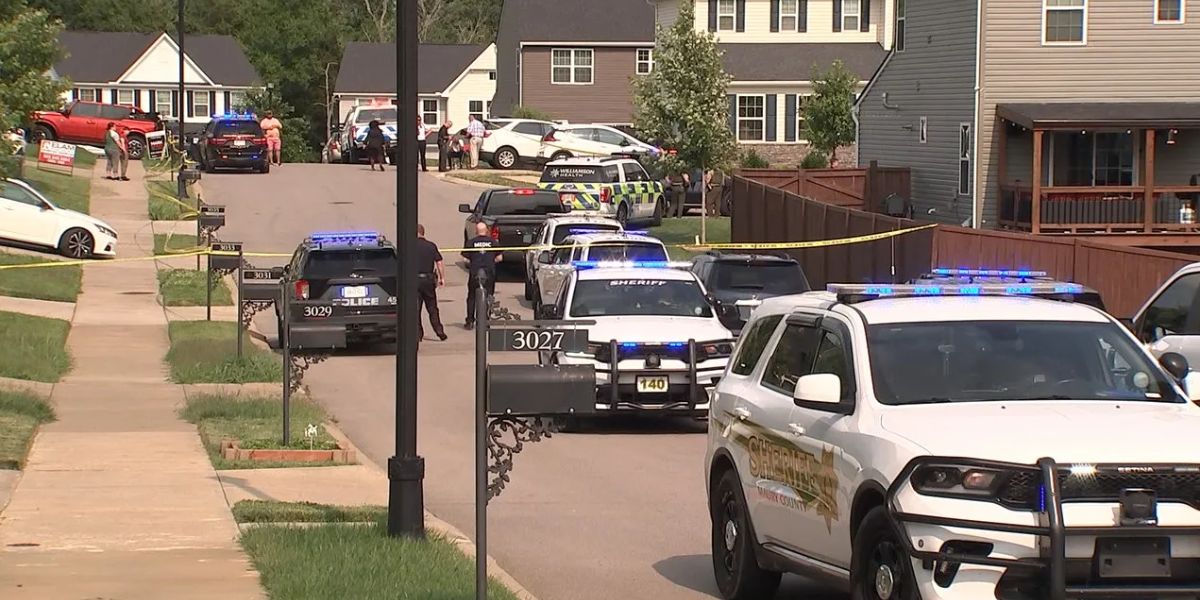 17-year-old accused of stabbing father after dog killed chickens in Cottontown