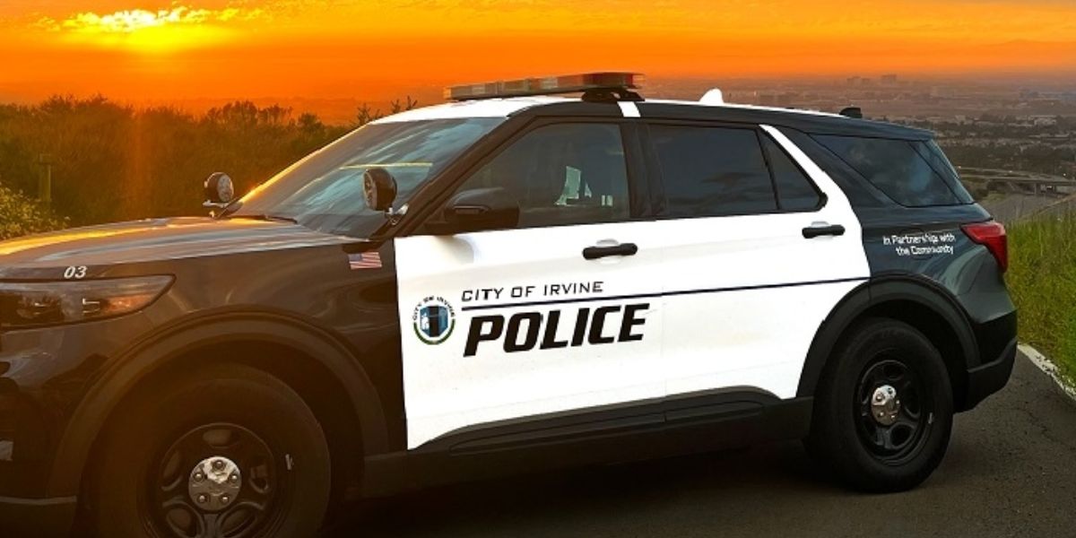 At Least 10 Dogs Dead, Trainer and Girlfriend Under Suspicion