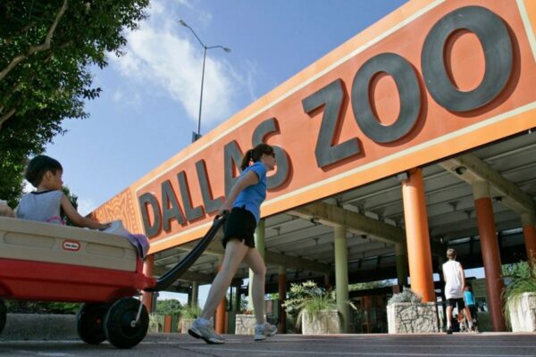 Budget-Friendly Fun $1 Tickets Available During Dallas Zoo Dollar Days