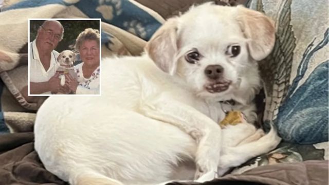 California Nudist Allegedly Killed Neighbors, Drowned Dog After Hot Dog Insult
