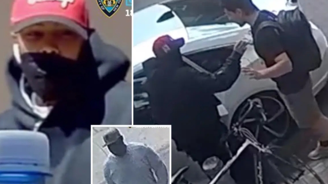 Dognapping Duo Targets NYC Home, Steals French Bulldogs in Violent Heist