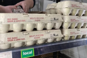 Egg Recall Expands Across 9 States, Customers Urged to Check Products