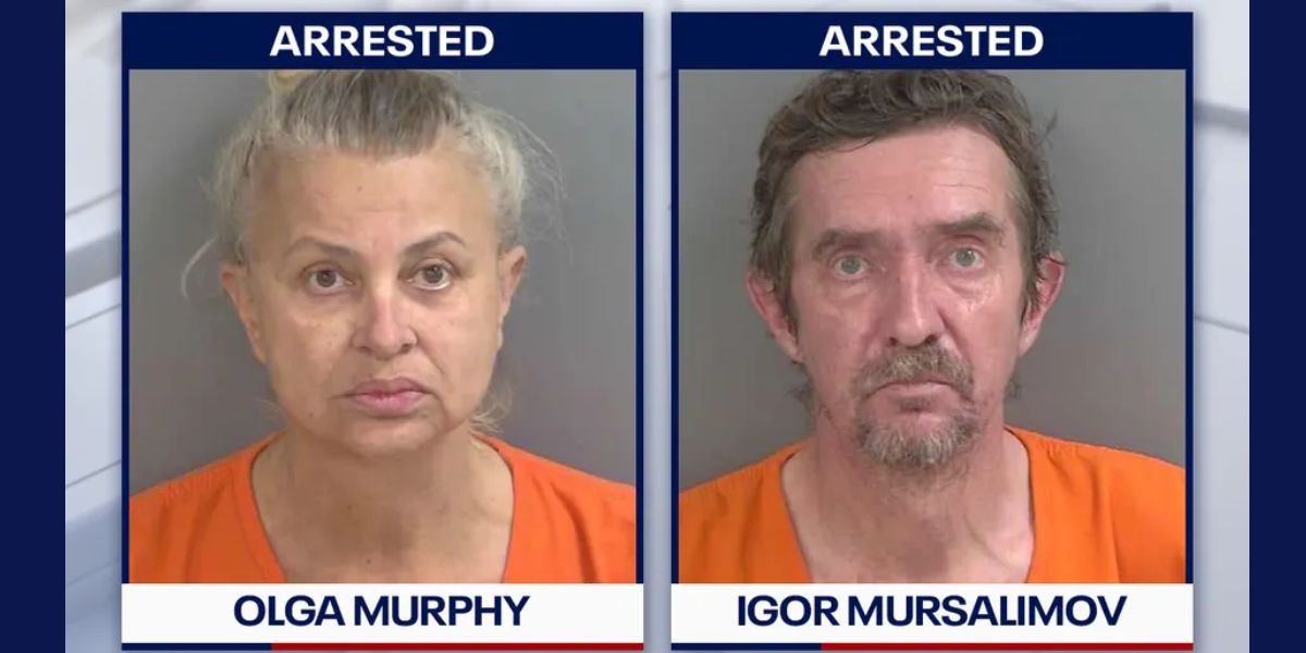 Florida Pair Charged With Animal Cruelty After Cats Found Frozen in Living Room