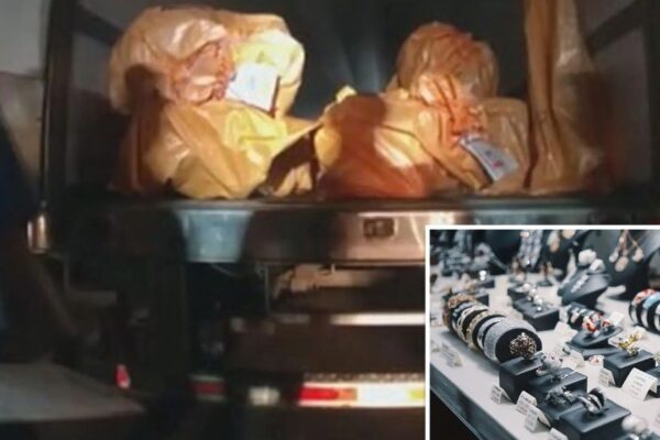 Gold, Diamonds, Rubies Worth $100M Stolen in Record-Breaking U.S. Heist