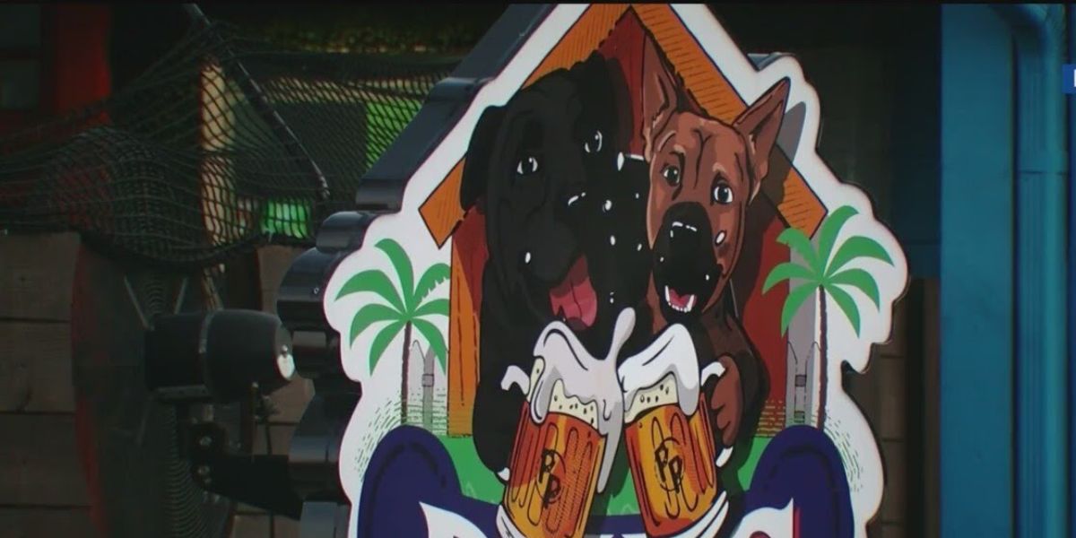 Judge’s Ruling Overturned, Tampa Dog Bar Pup’s Pub to Close June 7