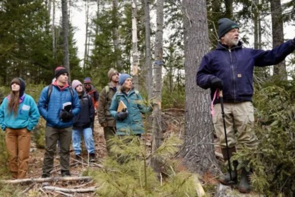 Maine Landowners Must Now Disclose Enrollment in Carbon Offset Programs