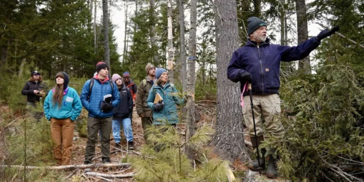 Maine Landowners Must Now Disclose Enrollment in Carbon Offset Programs