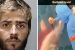 Man Charged in Florida for Repeatedly Stabbing Shark in Revenge Attack