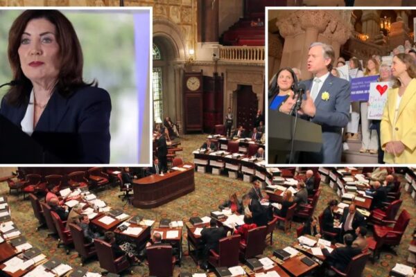 NY Senate Passes Doctor-Assisted Suicide Bill, Awaits Governor Hochul’s Signature