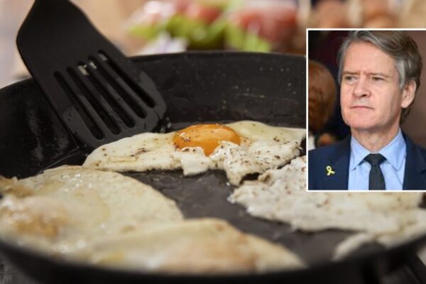 NYS Lawmakers Propose Ban on Nonstick Cookware Despite Federal Safety Assurances NYS Lawmakers Propose Ban on Nonstick Cookware Despite Federal Safety Assurances