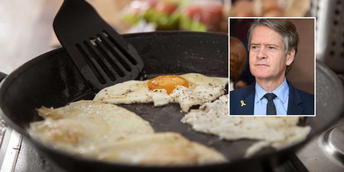 NYS Lawmakers Propose Ban on Nonstick Cookware Despite Federal Safety Assurances
