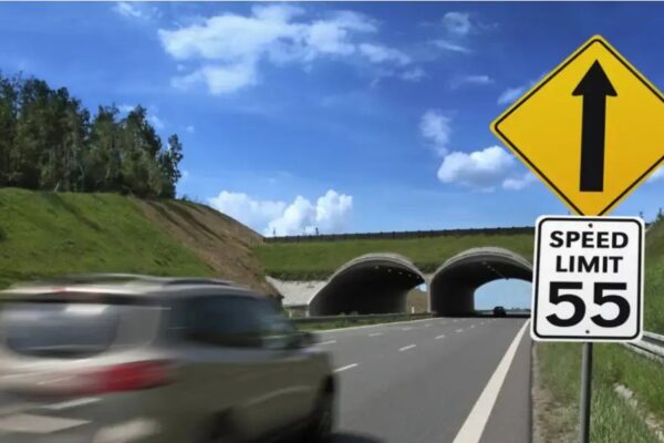 New Laws Target Reckless Drivers with Tech That Enforces Speed Limits