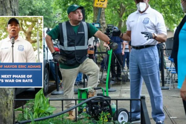 New York City Uses Carbon Monoxide to Combat Rats, Buries Them in Tree Pits