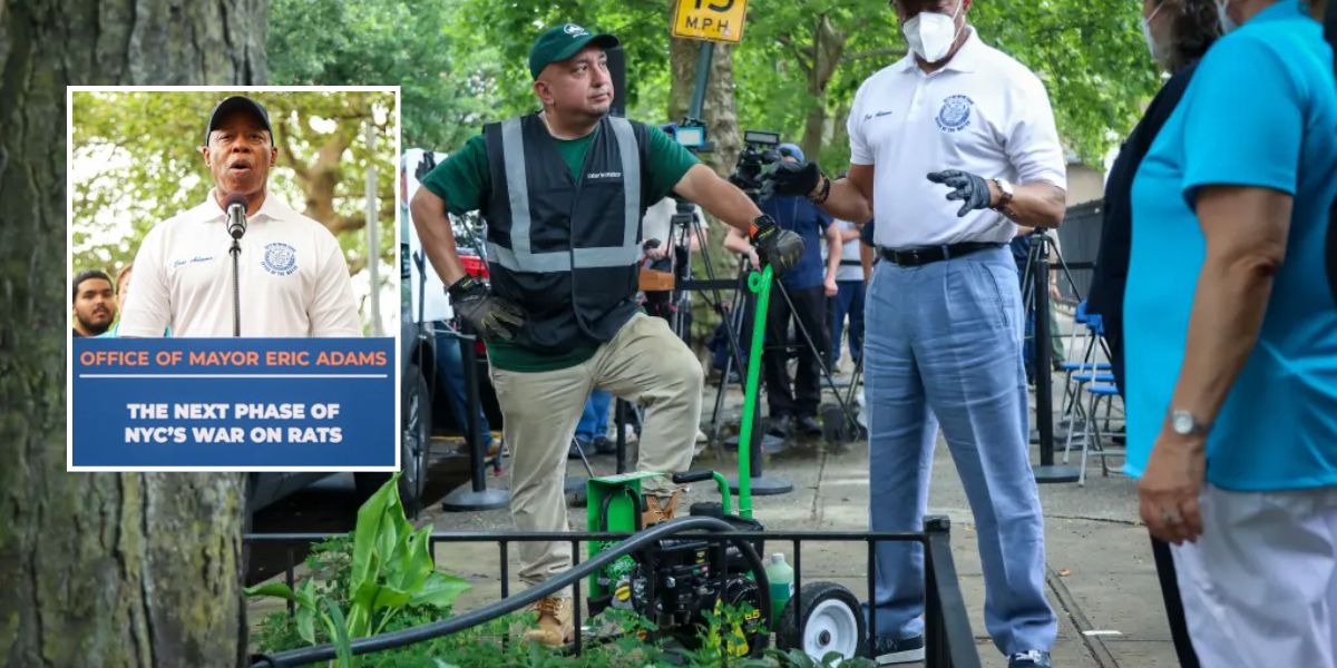 New York City Uses Carbon Monoxide to Combat Rats, Buries Them in Tree Pits