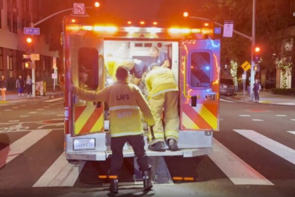 Serial machete attack rocked Los Angeles, 1 in custody after 1 died after attack