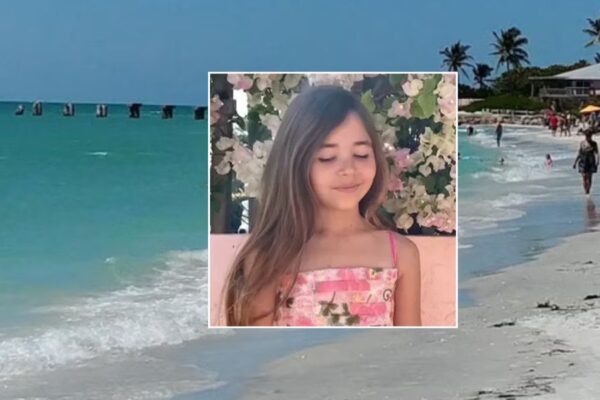 Shark Attack Reported on Southwest Florida Beach, Child Injured Shark Attack Reported on Southwest Florida Beach, Child Injured