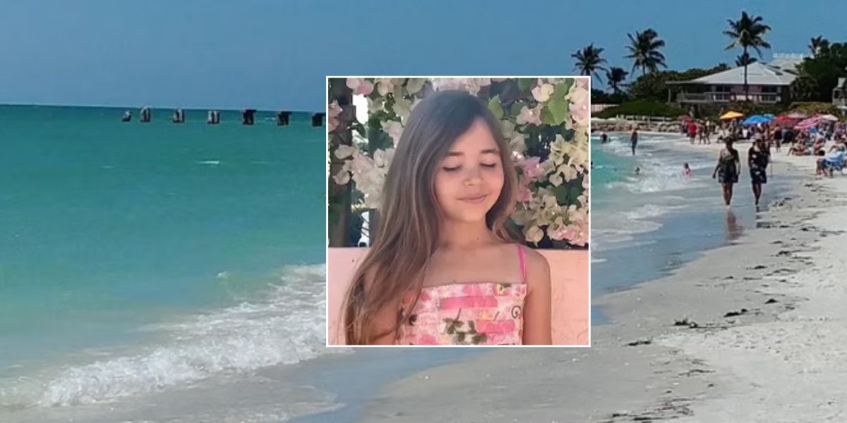 Shark Attack Reported on Southwest Florida Beach, Child Injured