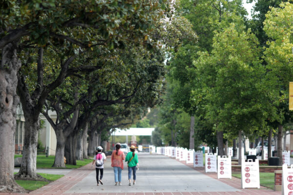 Suspended Over Gaza Comments, California Professor Takes University to Court-1