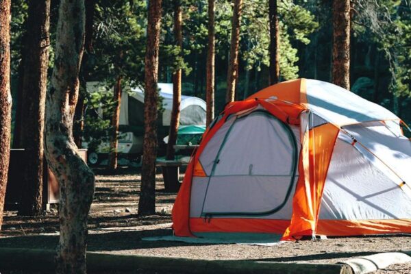 Tents Banned at Colorado Campground After Bear Swats One with Kids Inside