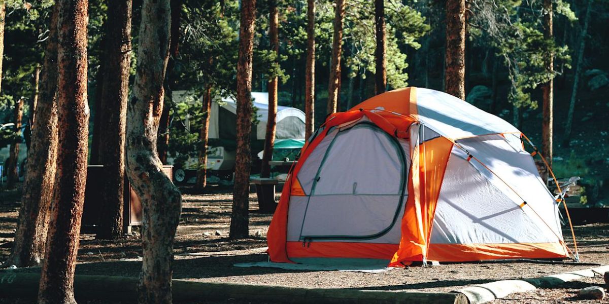 Tents Banned at Colorado Campground After Bear Swats One with Kids Inside
