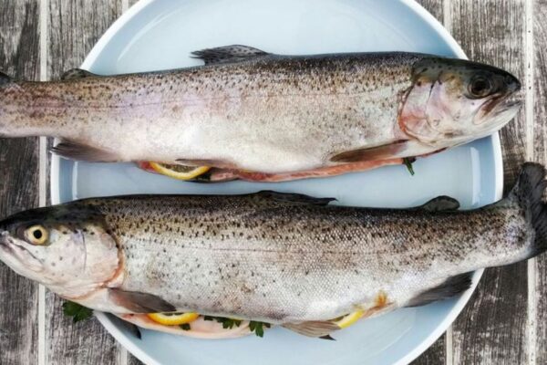 Fish in California Found With Parasites, Public Health Alert Issued