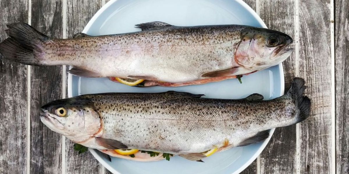Fish in California Found With Parasites, Public Health Alert Issued