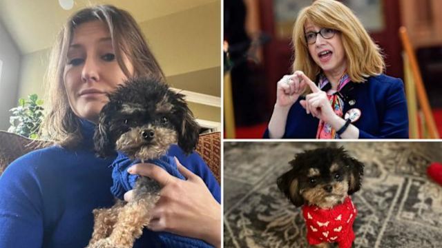 UES Dog Killed by Speeding E-Bike, Legal Loophole Leaves Owner Without Recourse