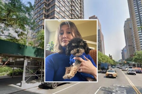 UES Dog Killed by Speeding E-Bike, Legal Loophole Leaves Owner Without Recourse