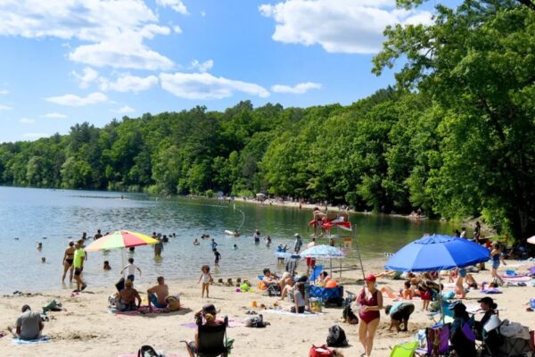 Walden Pond’s Main Swimming Area Shut Down All Summer for Construction