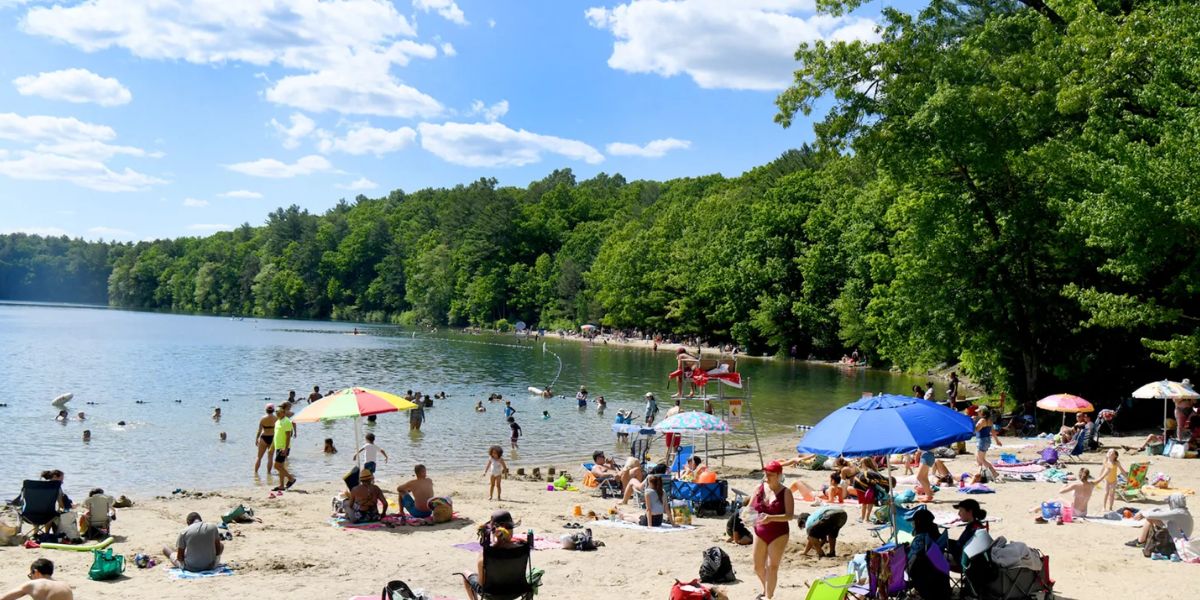 Walden Pond’s Main Swimming Area Shut Down All Summer for Construction