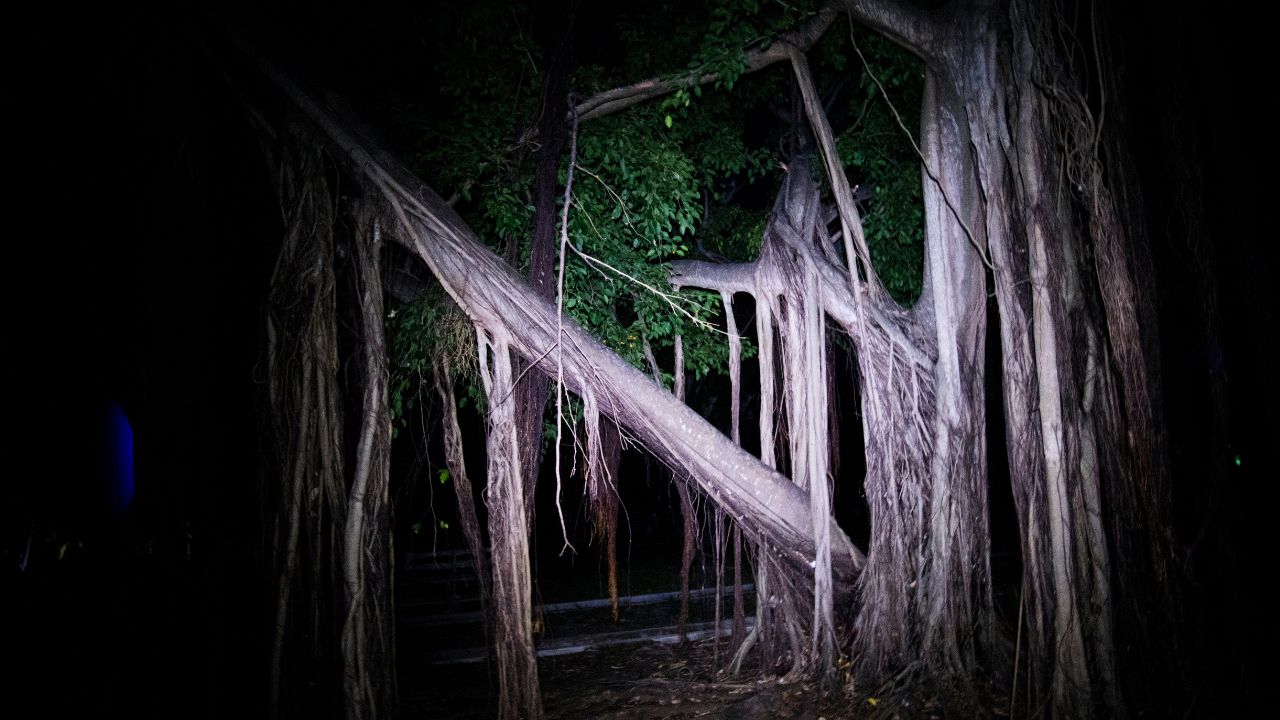 Creepy Delaware: 10 Haunted Places Every Macabre Explorer Must Visit