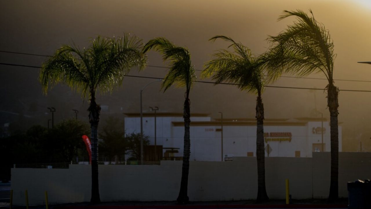 Gusty Winds and Fire Weather Warnings Issued Across Hawaii as Tropical Disturbance Looms South