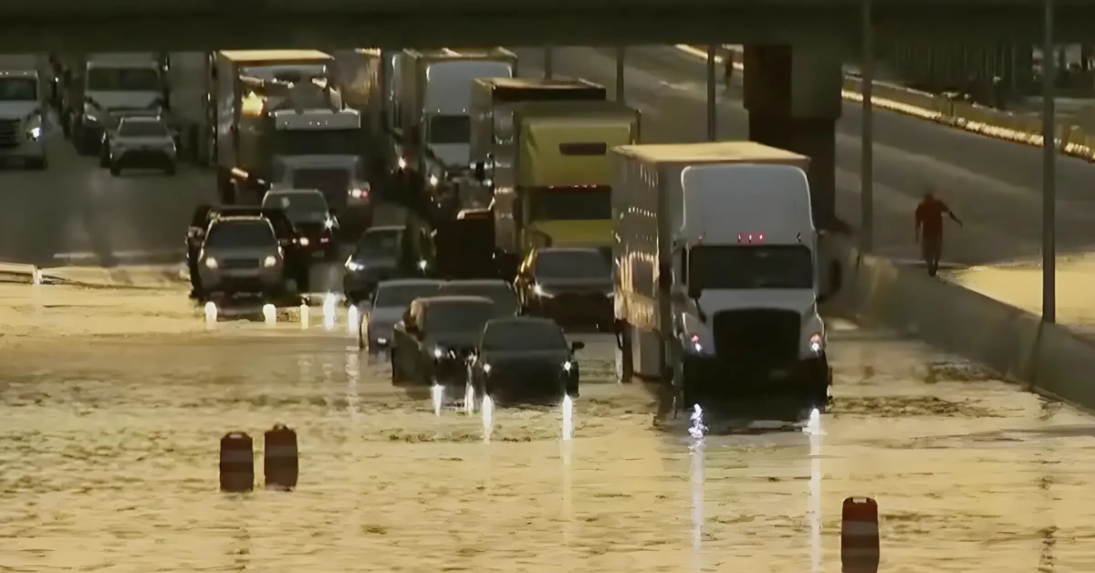 Tennessee Heavy Rains and Flooding Cause Fatal Tree Collapse and Dramatic Rescues
