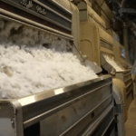 Local Farmers Celebrate Exceptional Cotton Harvest After Challenging Start in Odem