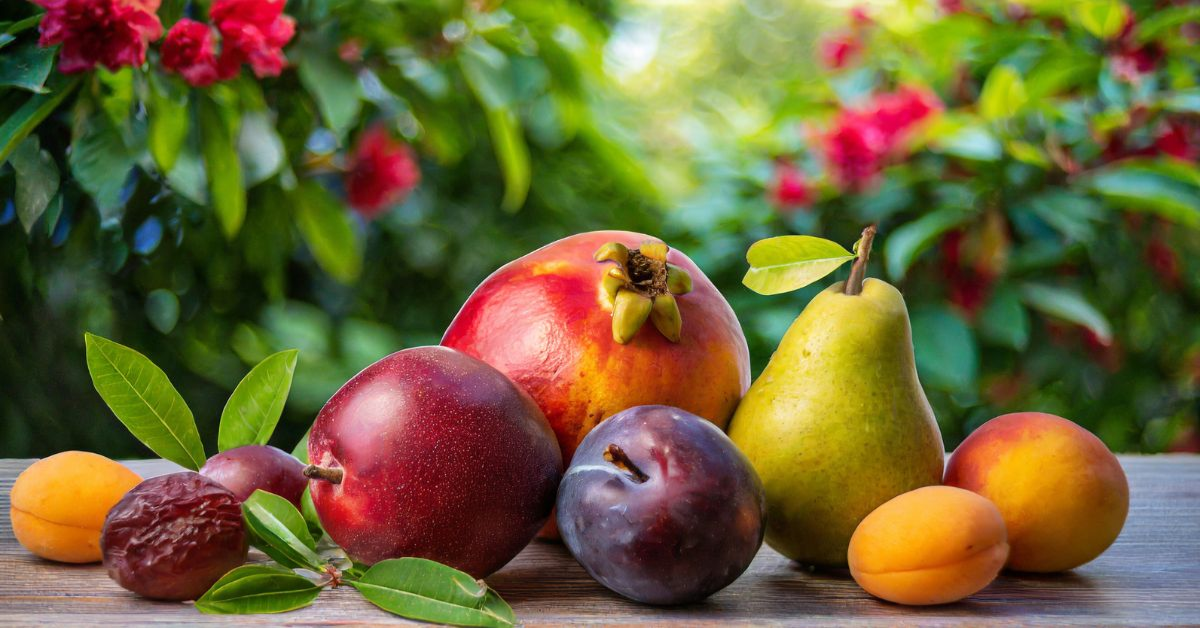 8 Fruits To Avoid Buying During The Fall For Fresher, Tastier Options