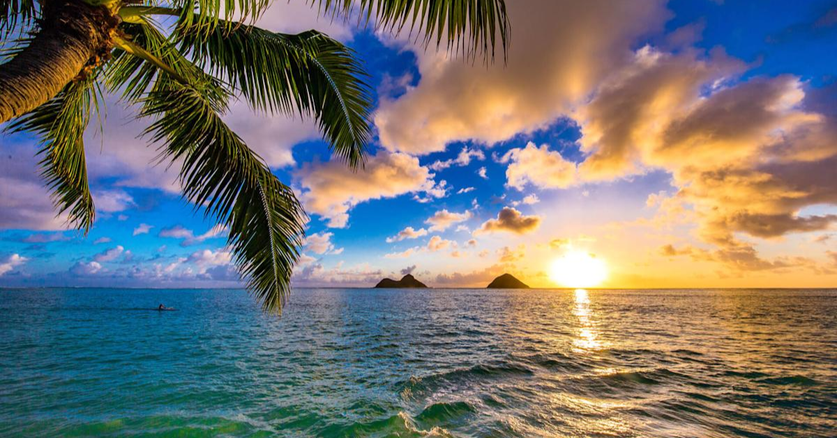4 Must-Visit Florida Vacations for Middle-Class Retirees on Their Bucket List