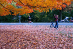 Farmers Almanac Predicts Surprising Changes in Fall Weather for Texas & New Mexico