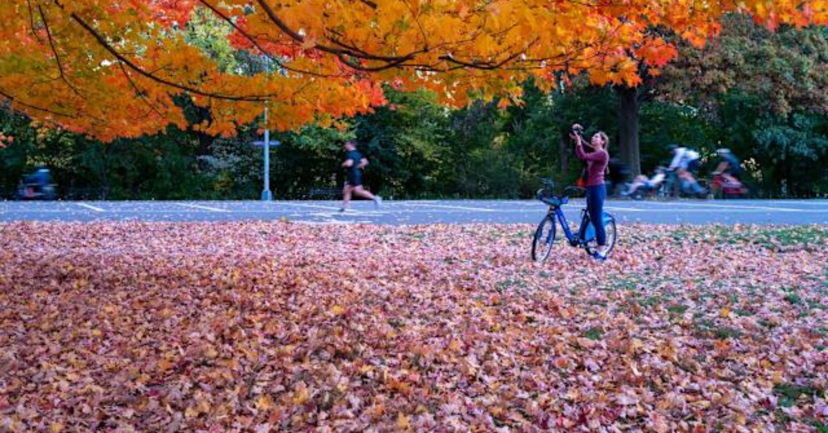 Farmers Almanac Predicts Surprising Changes in Fall Weather for Texas & New Mexico