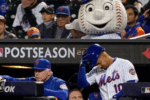 Heartbreaking Moment Mets Fan Snatches Ball from Elderly Man in New York Stands Goes Viral
