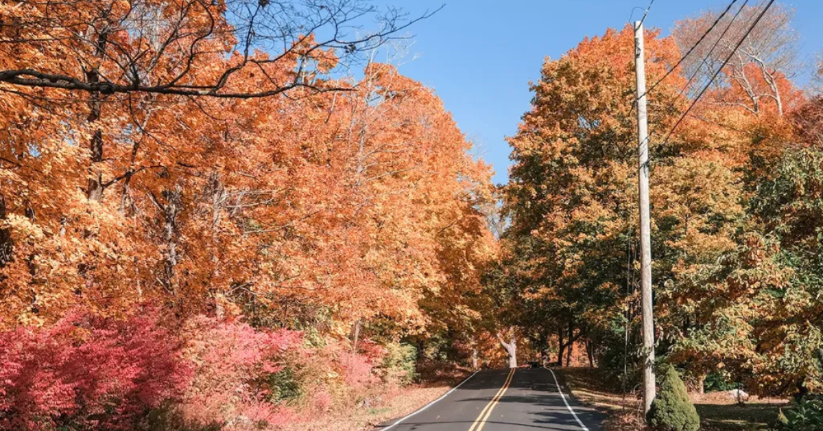 Connecticut Experiences Delightful Sunny Autumn-Like Days
